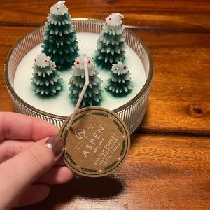 Aspen Christmas Tree Candle (viral on TikTok)